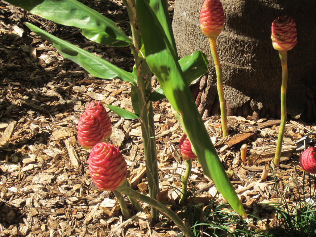 נמבור Eden Lodge מראה חיצוני תמונה